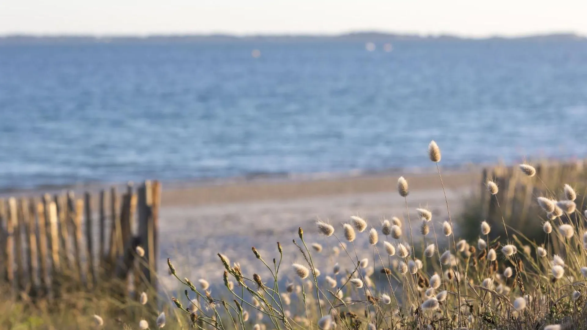 Holiday Home Les Roseaux By Interhome Carnac